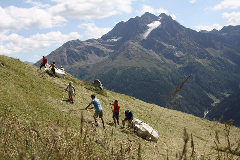 Mow the grass with the scythe