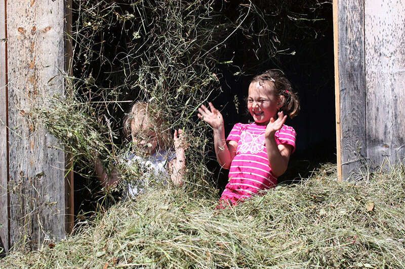 Children have a hay fight